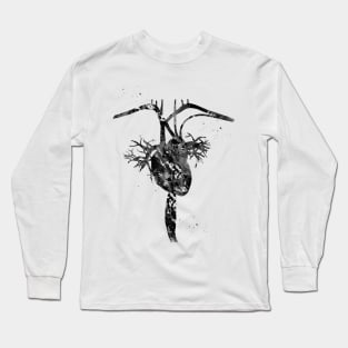 Heart anatomy Long Sleeve T-Shirt